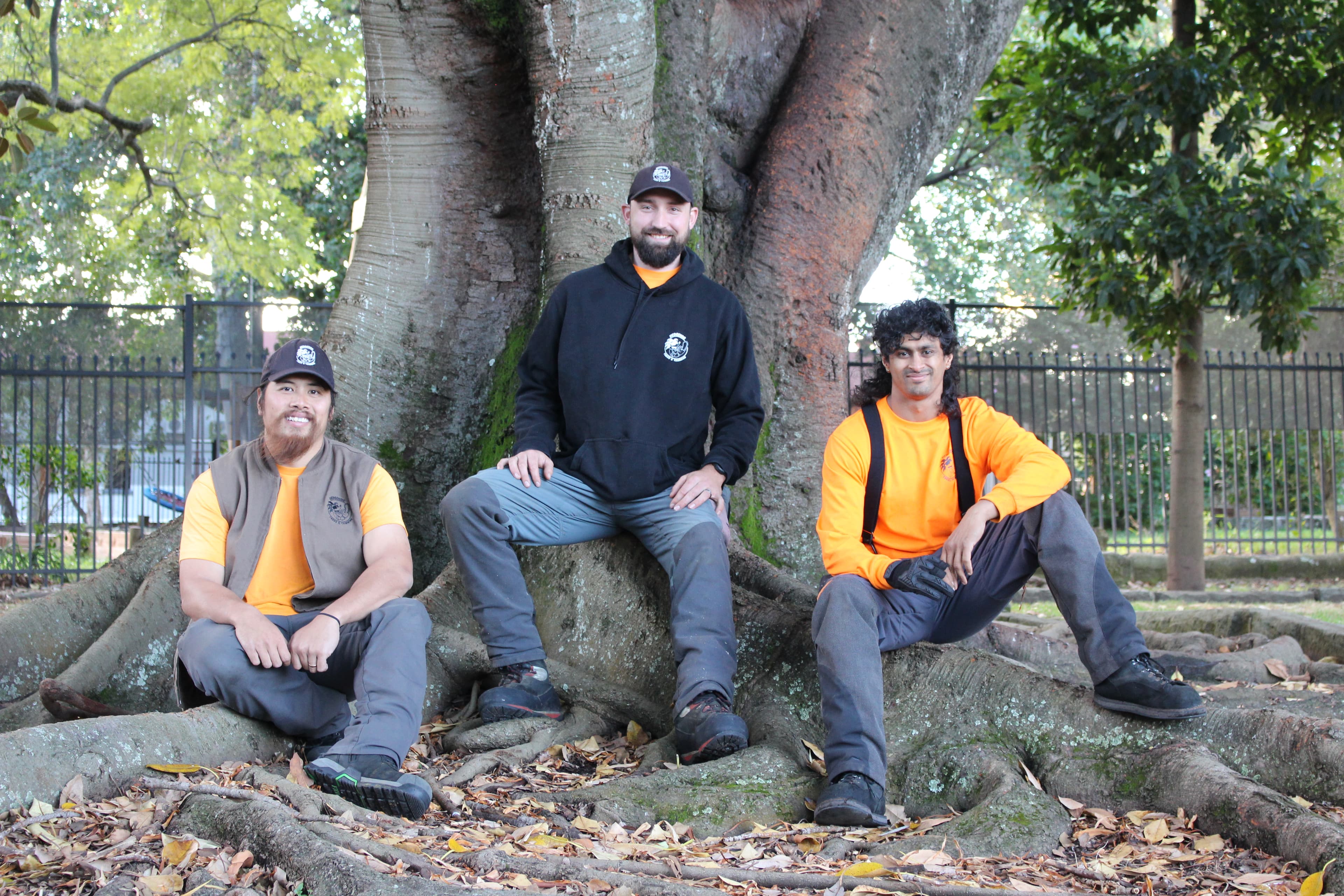 Three men in workwear sit on the massive, sprawling roots of a large tree outdoors.